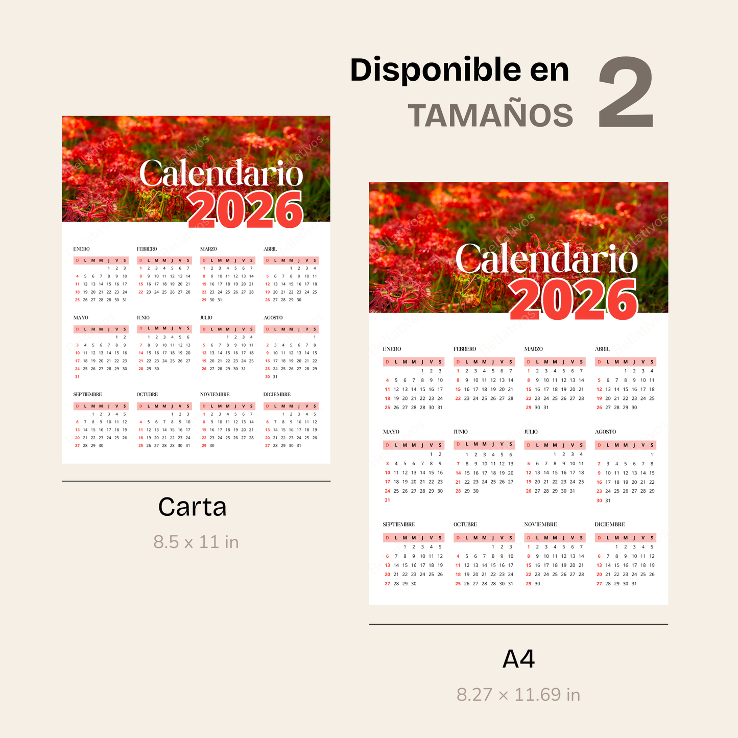 Calendario 2026 de Flores Rojas