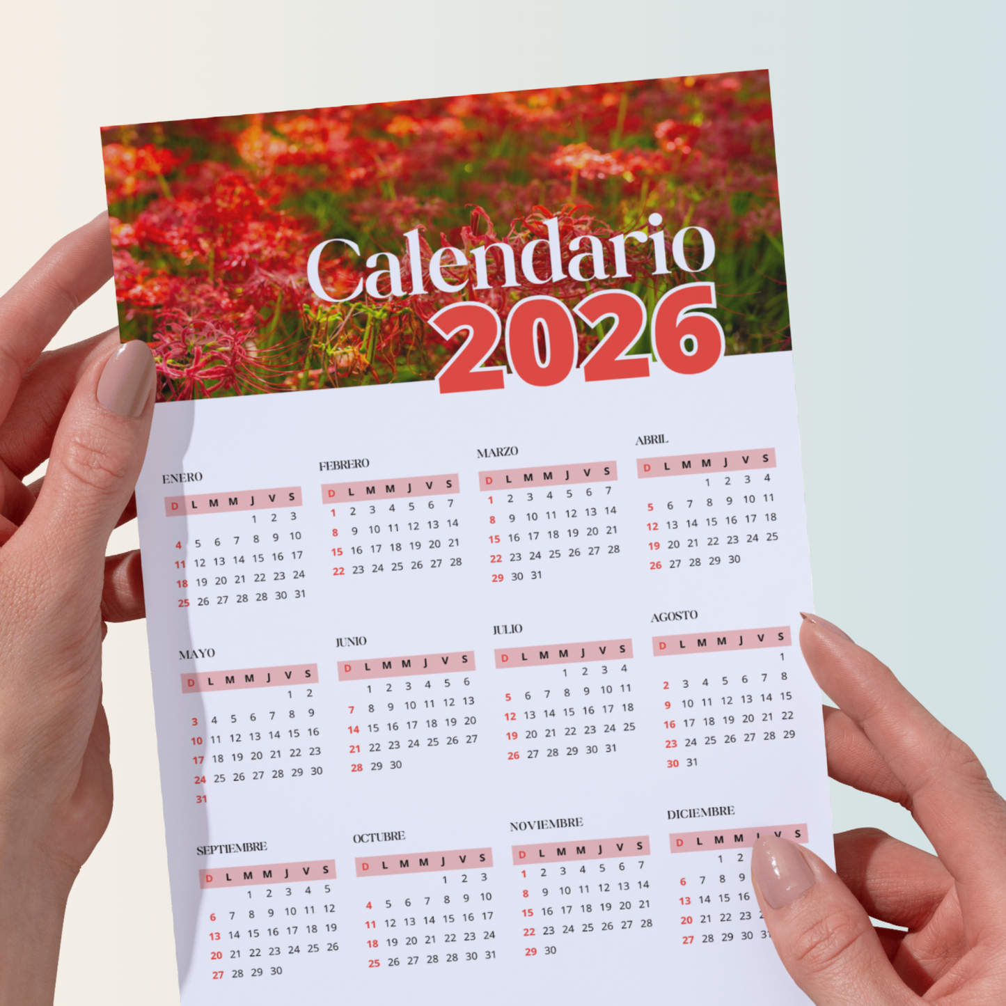 Calendario 2026 de Flores Rojas